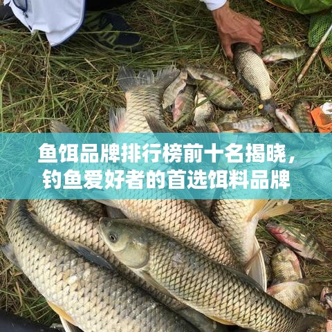 鱼饵品牌排行榜前十名揭晓，钓鱼爱好者的首选饵料品牌