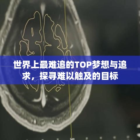 世界上最难追的TOP梦想与追求，探寻难以触及的目标
