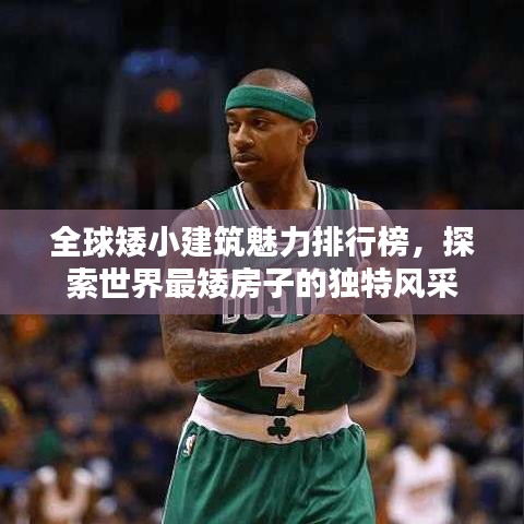 全球矮小建筑魅力排行榜，探索世界最矮房子的独特风采