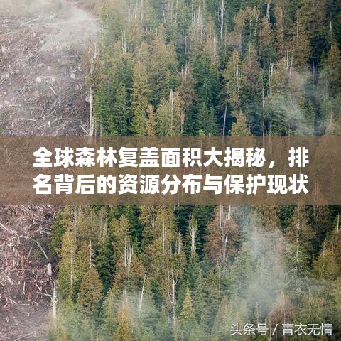 全球森林复盖面积大揭秘，排名背后的资源分布与保护现状