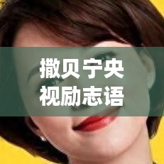 撒贝宁央视励志语录鼓舞人心
