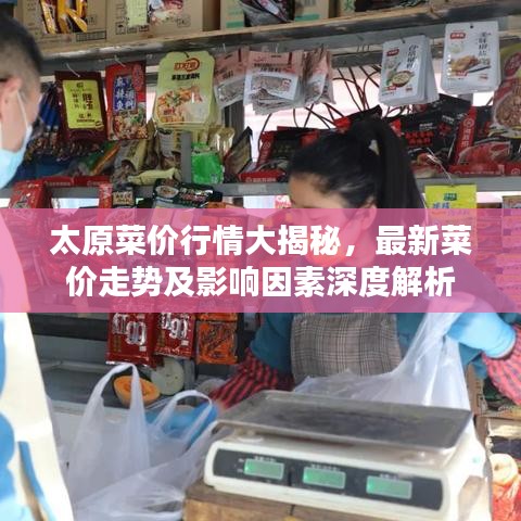 太原菜价行情大揭秘，最新菜价走势及影响因素深度解析