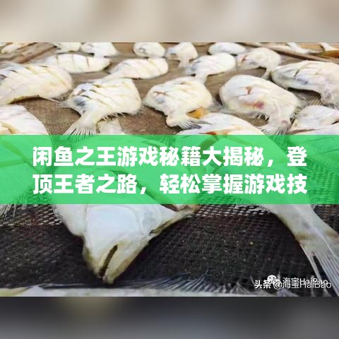 闲鱼之王游戏秘籍大揭秘，登顶王者之路，轻松掌握游戏技巧！