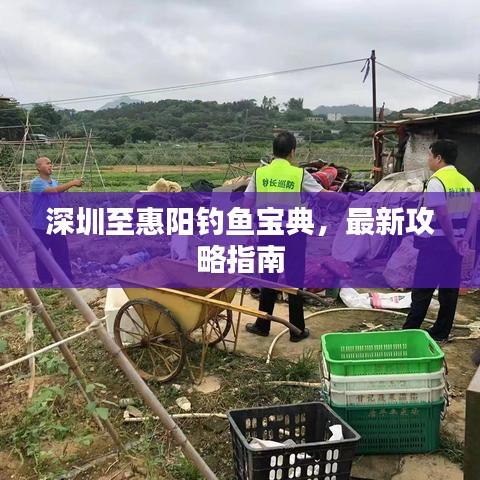 深圳至惠阳钓鱼宝典，最新攻略指南