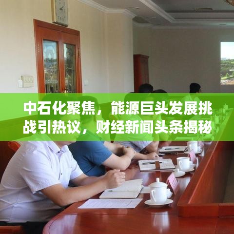 中石化聚焦，能源巨头发展挑战引热议，财经新闻头条揭秘！