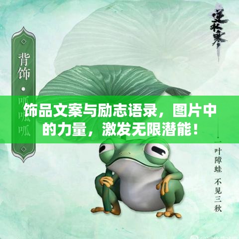 2025年5月24日 第33页