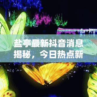 盐亭最新抖音消息揭秘，今日热点新闻探秘