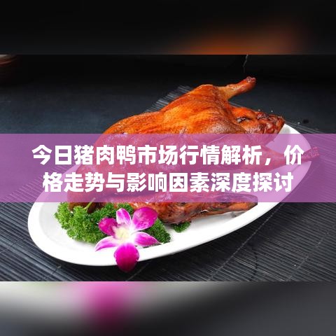 今日猪肉鸭市场行情解析，价格走势与影响因素深度探讨