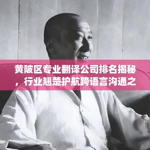 黄陂区专业翻译公司排名揭秘，行业翘楚护航跨语言沟通之旅
