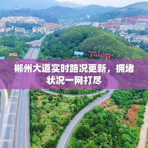 郴州大道实时路况更新，拥堵状况一网打尽