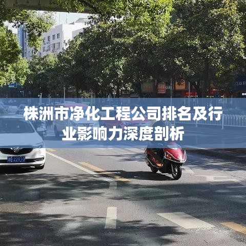 株洲市净化工程公司排名及行业影响力深度剖析