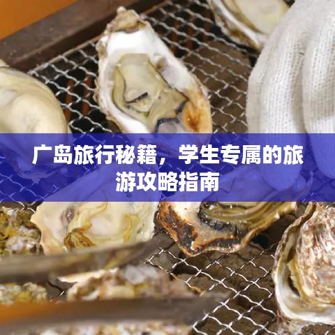 广岛旅行秘籍，学生专属的旅游攻略指南