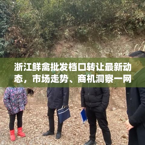 浙江鲜禽批发档口转让最新动态，市场走势、商机洞察一网打尽