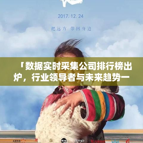 「数据实时采集公司排行榜出炉，行业领导者与未来趋势一网打尽」
