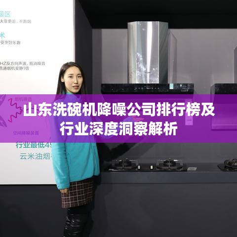 山东洗碗机降噪公司排行榜及行业深度洞察解析