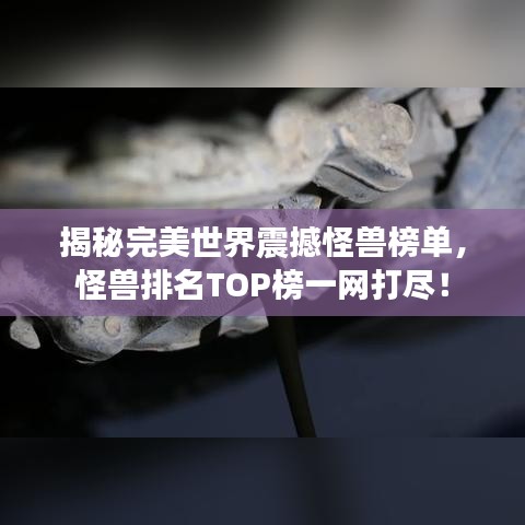 揭秘完美世界震撼怪兽榜单，怪兽排名TOP榜一网打尽！