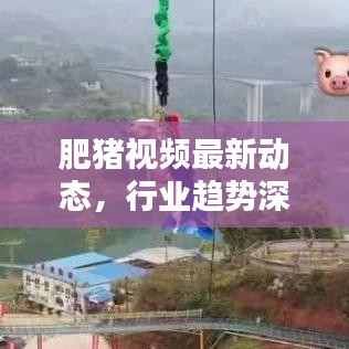 肥猪视频最新动态，行业趋势深度解析与前瞻分析