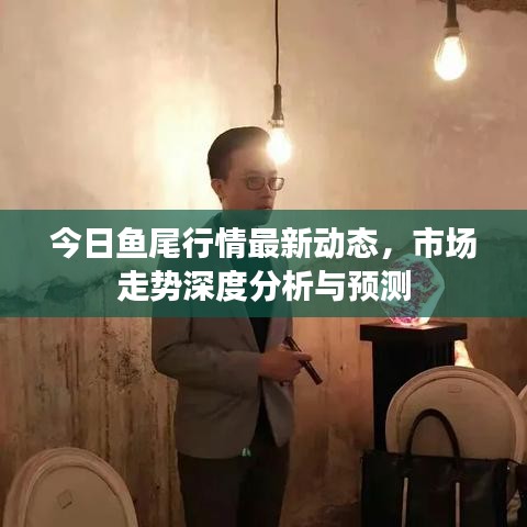 今日鱼尾行情最新动态，市场走势深度分析与预测