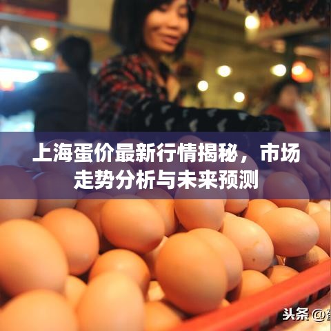 上海蛋价最新行情揭秘，市场走势分析与未来预测