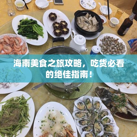 海南美食之旅攻略，吃货必看的绝佳指南！