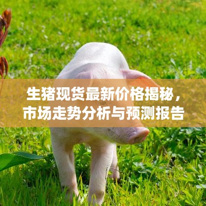 生猪现货最新价格揭秘，市场走势分析与预测报告出炉！