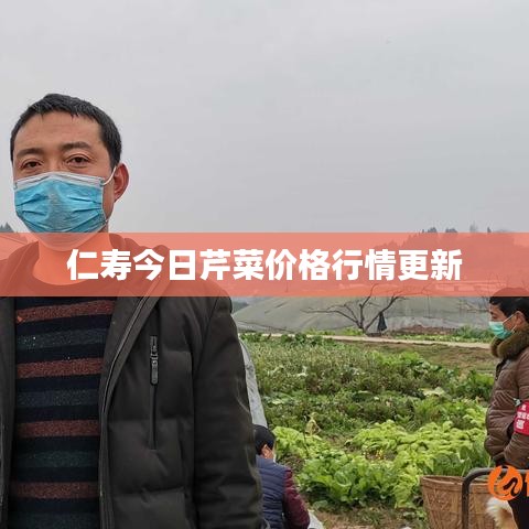 仁寿今日芹菜价格行情更新