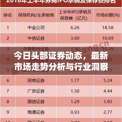 今日头部证券动态，最新市场走势分析与行业洞察揭秘！