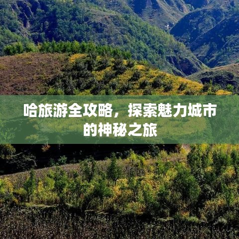 哈旅游全攻略，探索魅力城市的神秘之旅