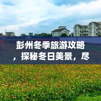 彭州冬季旅游攻略，探秘冬日美景，尽享风情万种