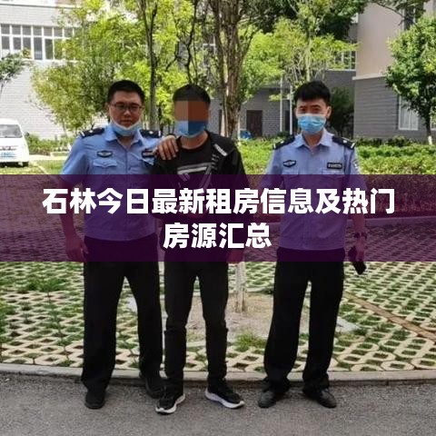 石林今日最新租房信息及热门房源汇总