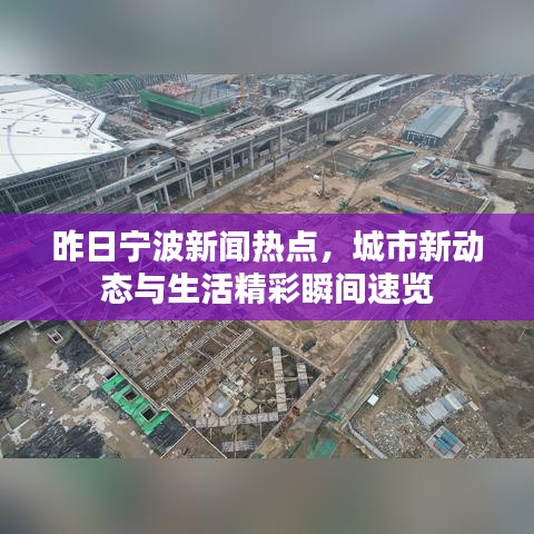 昨日宁波新闻热点，城市新动态与生活精彩瞬间速览