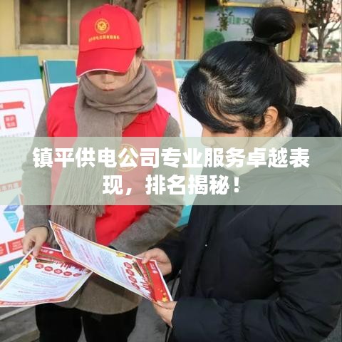 镇平供电公司专业服务卓越表现，排名揭秘！