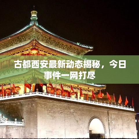 古都西安最新动态揭秘，今日事件一网打尽