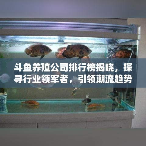 斗鱼养殖公司排行榜揭晓，探寻行业领军者，引领潮流趋势！