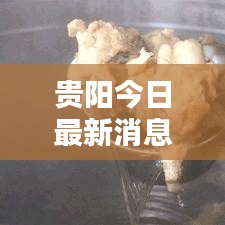 贵阳今日最新消息，城市动态与生活概览