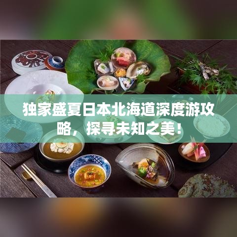 独家盛夏日本北海道深度游攻略，探寻未知之美！