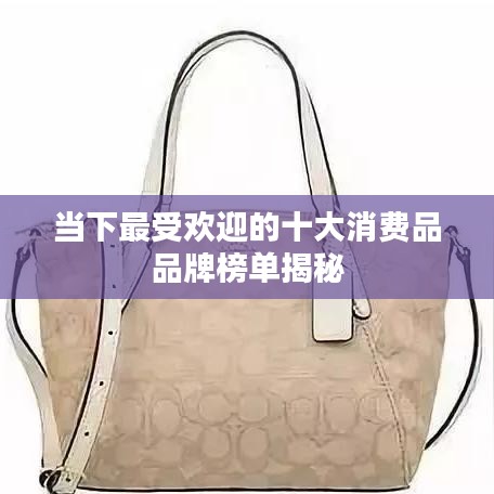 当下最受欢迎的十大消费品品牌榜单揭秘