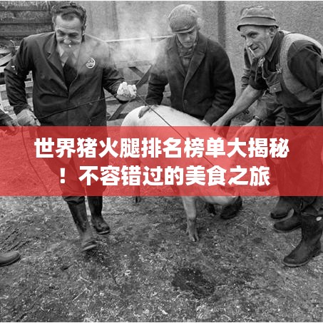 世界猪火腿排名榜单大揭秘！不容错过的美食之旅