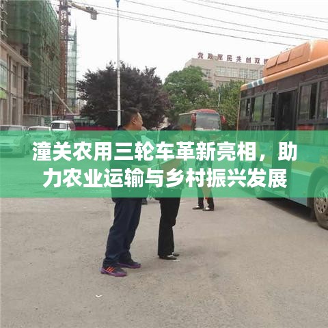 潼关农用三轮车革新亮相，助力农业运输与乡村振兴发展