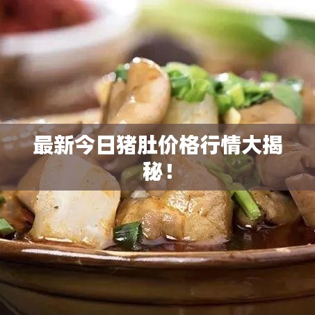 最新今日猪肚价格行情大揭秘！