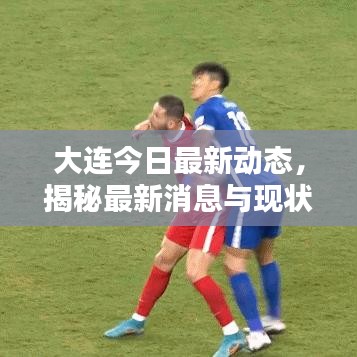 大连今日最新动态，揭秘最新消息与现状