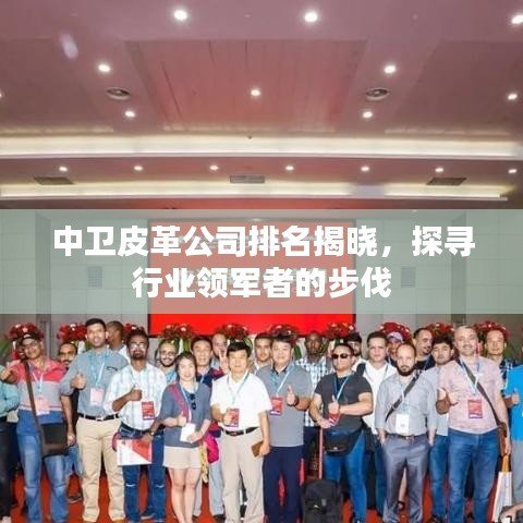 中卫皮革公司排名揭晓，探寻行业领军者的步伐