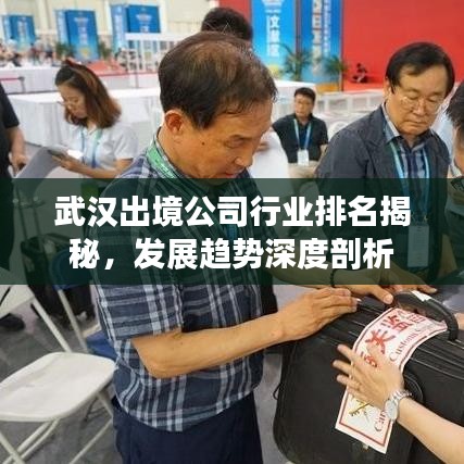 武汉出境公司行业排名揭秘，发展趋势深度剖析