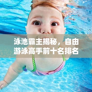 泳池霸主揭秘，自由游泳高手前十名排名，探寻英雄之旅