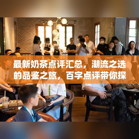 最新奶茶点评汇总，潮流之选的品鉴之旅，百字点评带你探秘奶茶世界