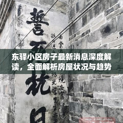 东驿小区房子最新消息深度解读，全面解析房屋状况与趋势分析