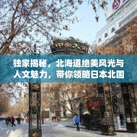 独家揭秘，北海道绝美风光与人文魅力，带你领略日本北国的极致之旅