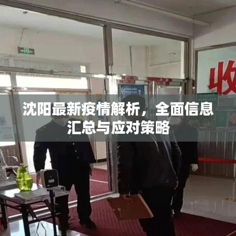 沈阳最新疫情解析，全面信息汇总与应对策略