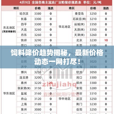 饲料降价趋势揭秘，最新价格动态一网打尽！