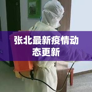 张北最新疫情动态更新